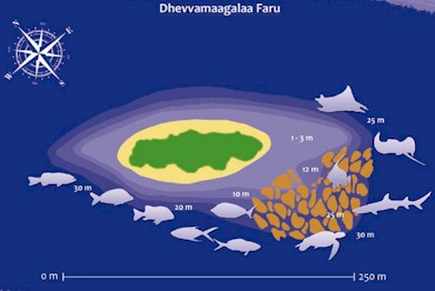 Dhevvamaagalaa Faru